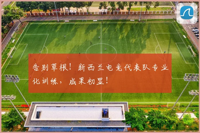 告别草根！新西兰电竞代表队专业化训练，成果初显！